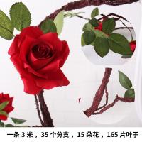 uploads/erp/collection/images/Home Garden/CongDing/XU0612249/img_b/XU0612249_img_b_4